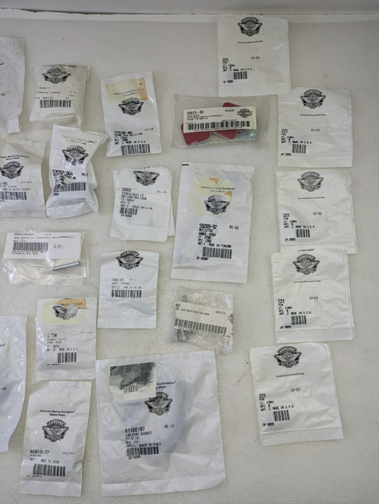 Huge Harley Davidson Hardware Lot Bolts Screws Washers Mixed Assortment New Bags1